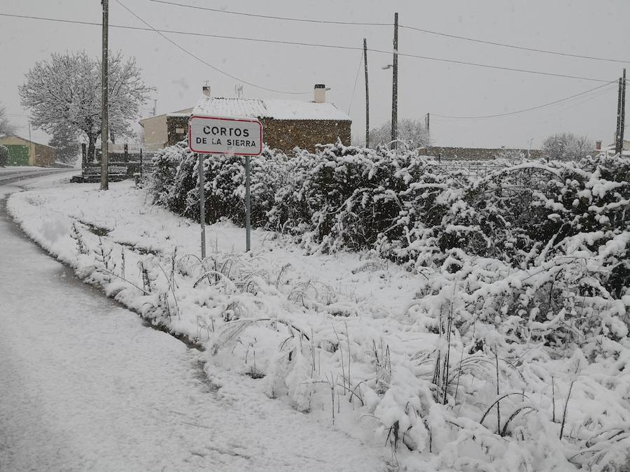 La nieve ha sorprendido de madrugada en la provincia de Salamanca, donde hay dificultades de tráfico por el elemento blanco que cubre las carreteras.