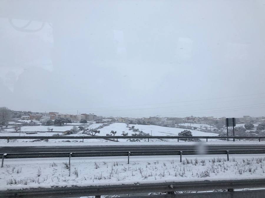 La nieve ha sorprendido de madrugada en la provincia de Salamanca, donde hay dificultades de tráfico por el elemento blanco que cubre las carreteras.