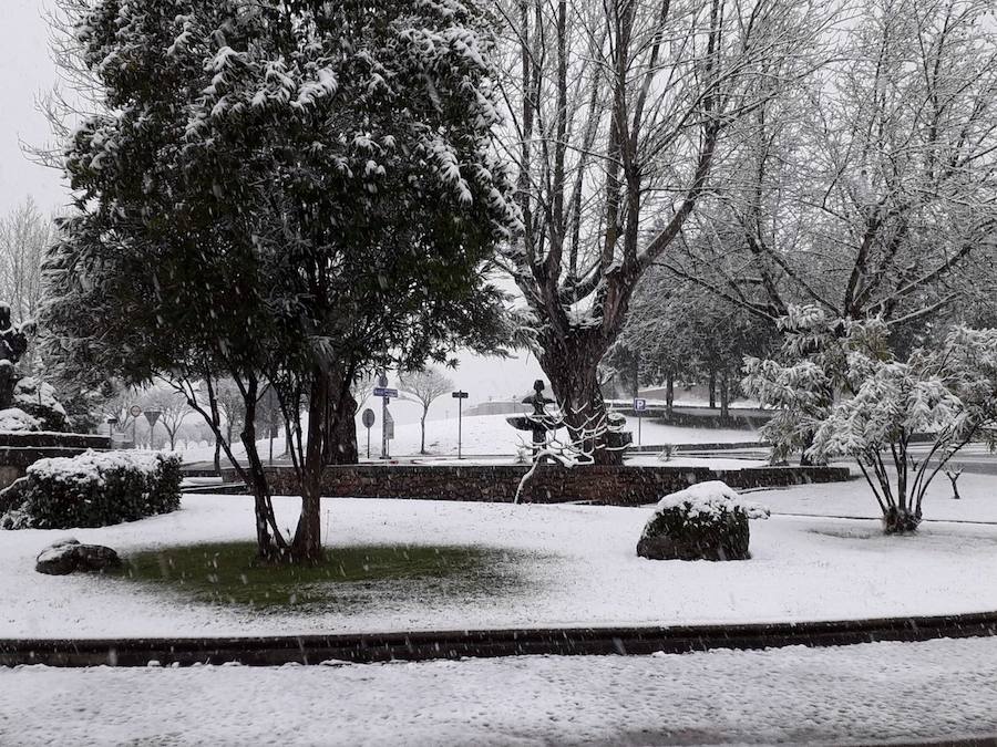 La nieve ha sorprendido de madrugada en la provincia de Salamanca, donde hay dificultades de tráfico por el elemento blanco que cubre las carreteras.