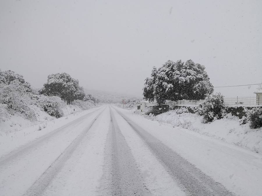 La nieve ha sorprendido de madrugada en la provincia de Salamanca, donde hay dificultades de tráfico por el elemento blanco que cubre las carreteras.