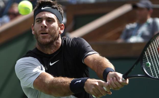 Del Potro golpea la pelota.