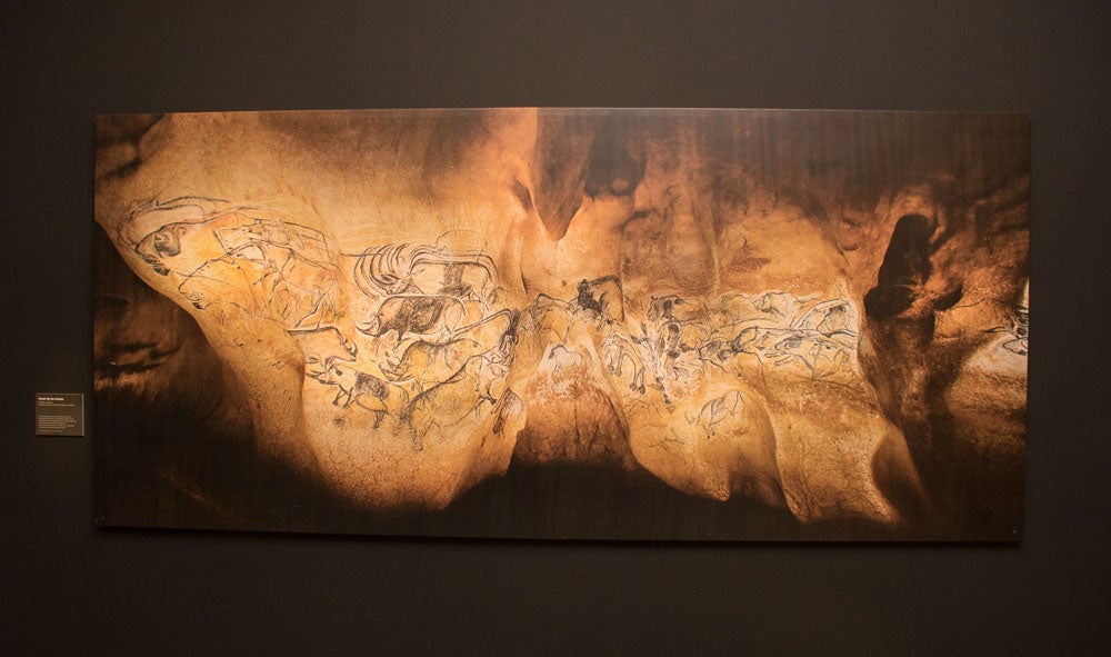 El MEH acoge hasta noviembre una muestra con el esqueleto completo de un león de las cavernas, una pieza única. La exposición se completa con fósiles de otros carnívoros