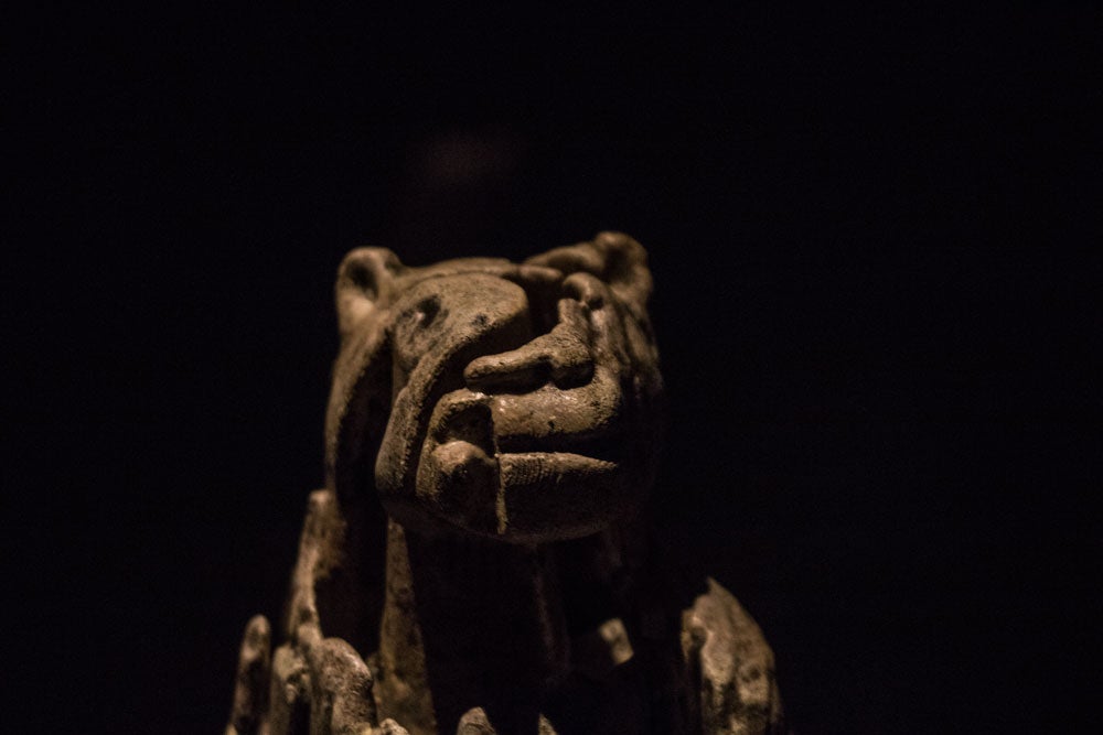 El MEH acoge hasta noviembre una muestra con el esqueleto completo de un león de las cavernas, una pieza única. La exposición se completa con fósiles de otros carnívoros