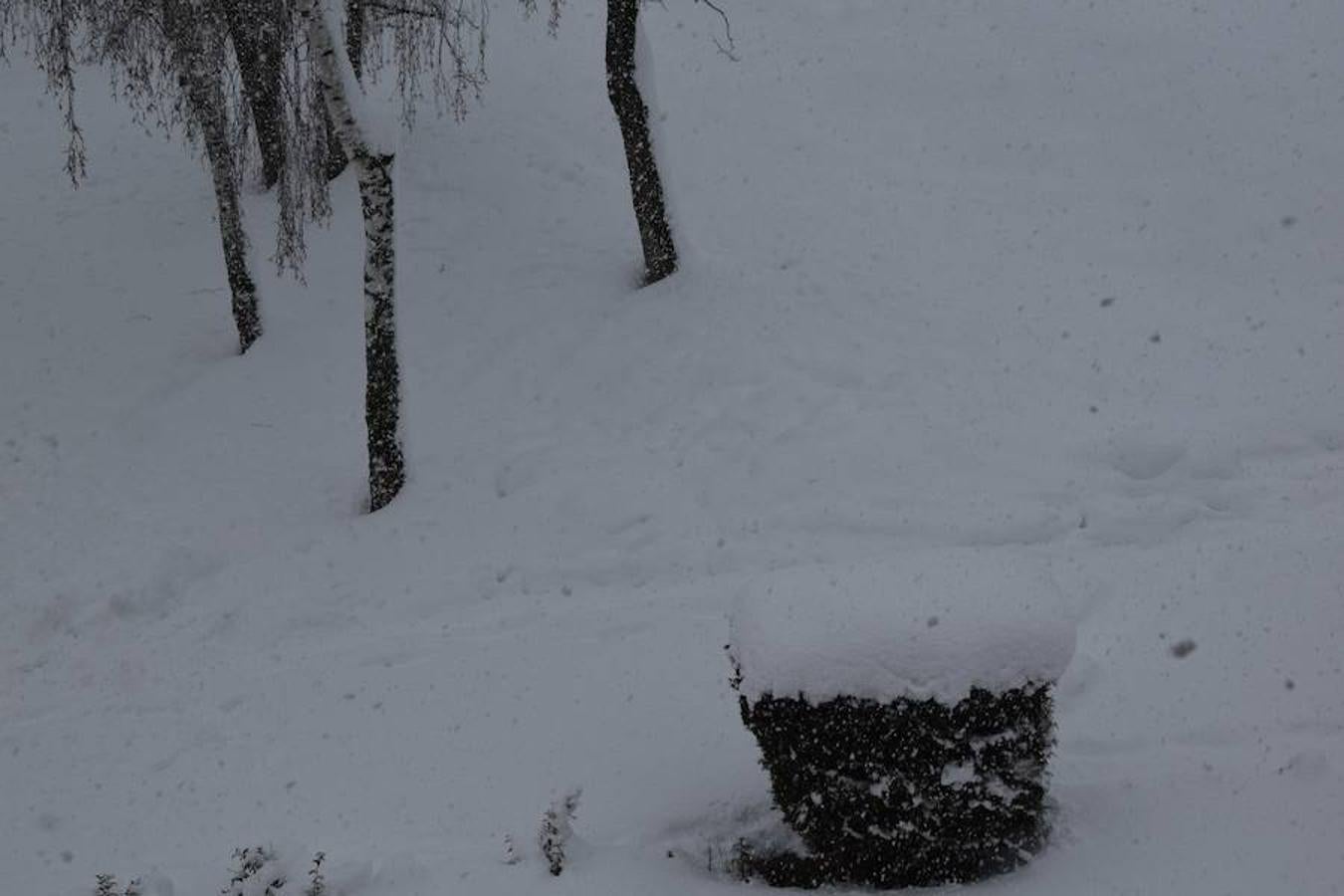 Fotos: Guardo recibe la primavera con medio metro de nieve