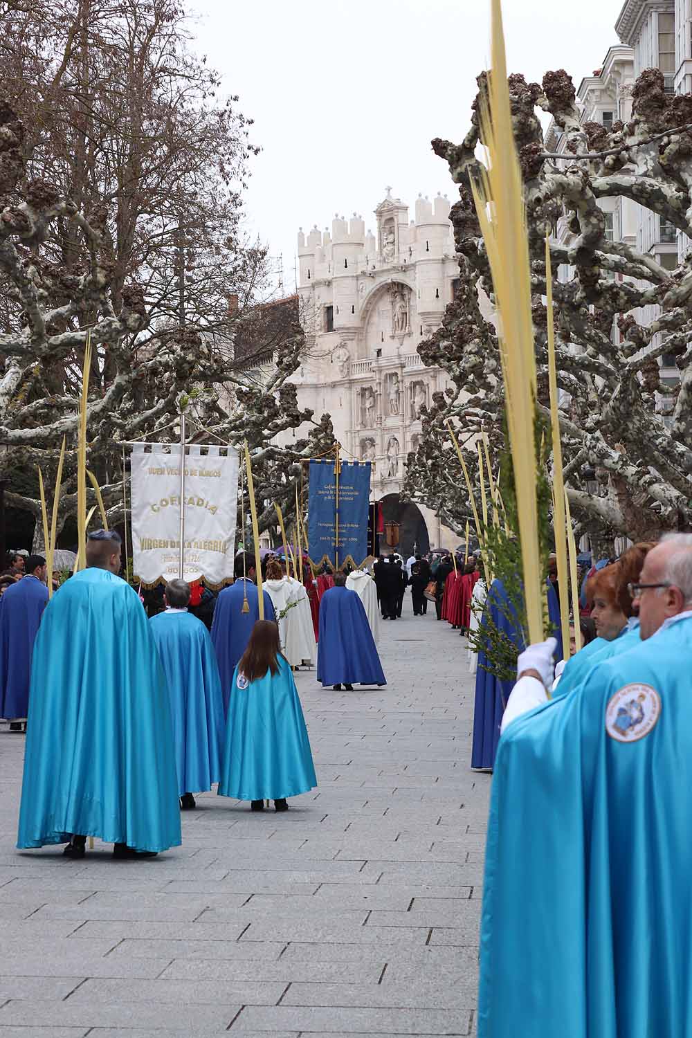 Fotos: Las imágenes de la Procesión de Jesús en La Borriquilla