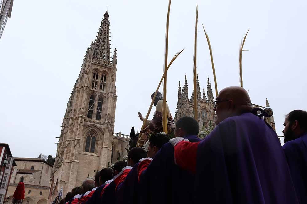 Fotos: Las imágenes de la Procesión de Jesús en La Borriquilla