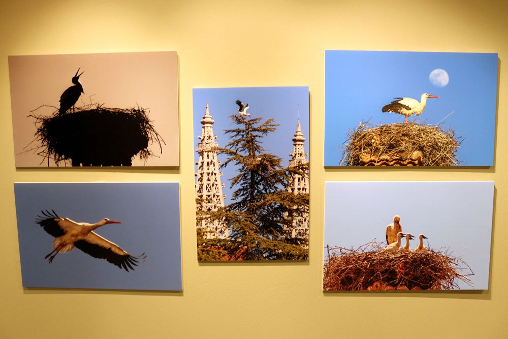 Del 9 al 13 de abril en la Sala de Exposiciones de la Fundación Cajacírculo