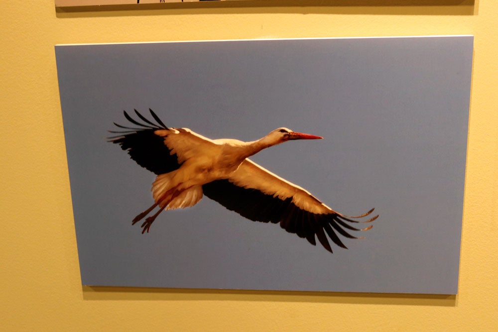 Del 9 al 13 de abril en la Sala de Exposiciones de la Fundación Cajacírculo