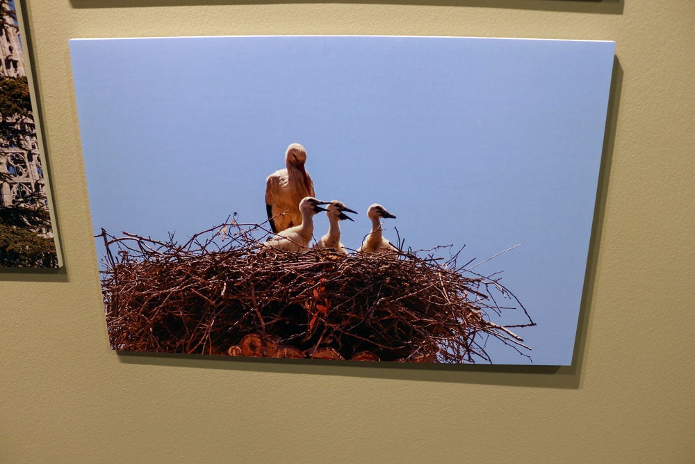 Del 9 al 13 de abril en la Sala de Exposiciones de la Fundación Cajacírculo