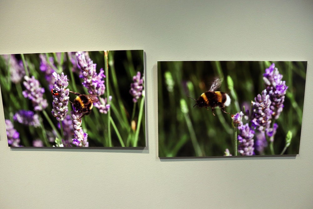 Del 9 al 13 de abril en la Sala de Exposiciones de la Fundación Cajacírculo