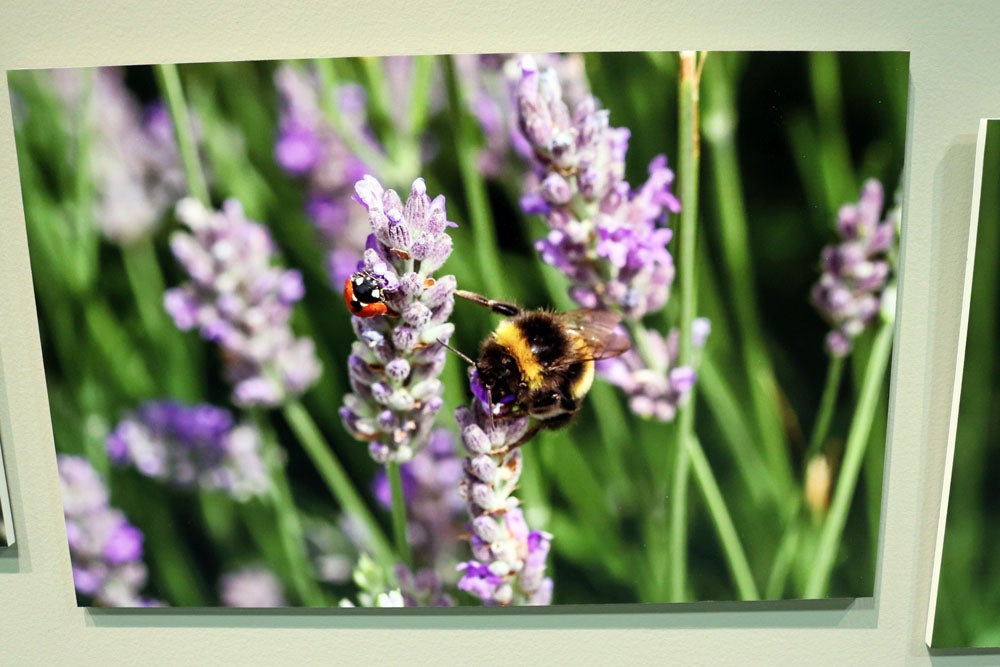 Del 9 al 13 de abril en la Sala de Exposiciones de la Fundación Cajacírculo