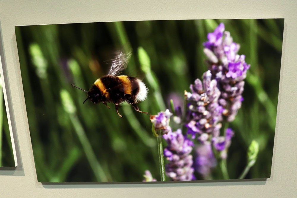 Del 9 al 13 de abril en la Sala de Exposiciones de la Fundación Cajacírculo