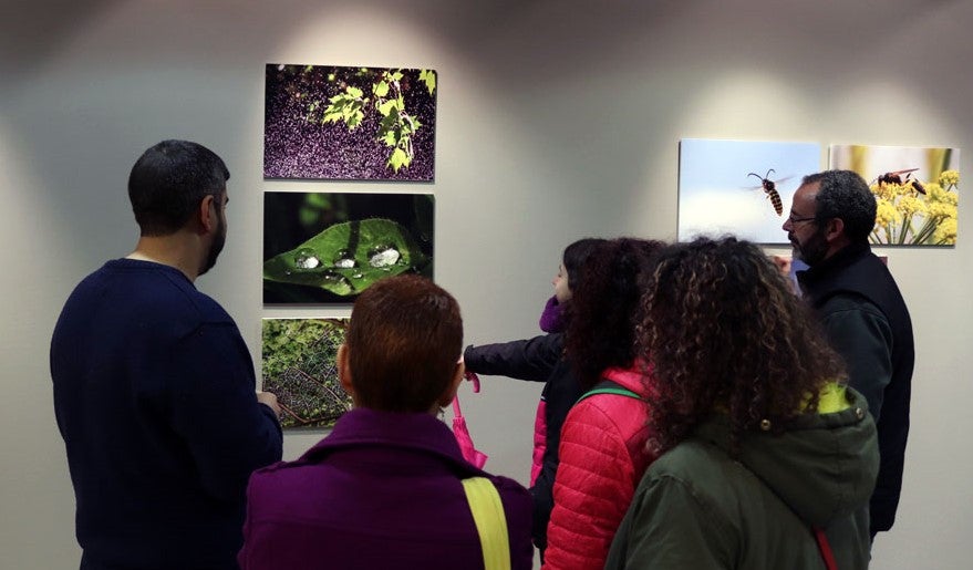 Del 9 al 13 de abril en la Sala de Exposiciones de la Fundación Cajacírculo