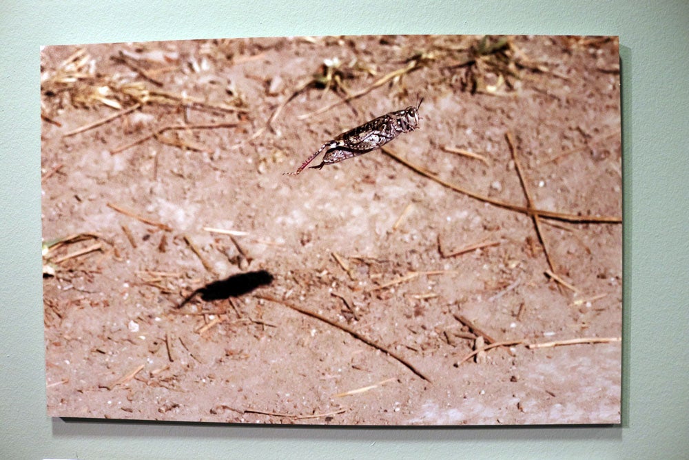 Del 9 al 13 de abril en la Sala de Exposiciones de la Fundación Cajacírculo