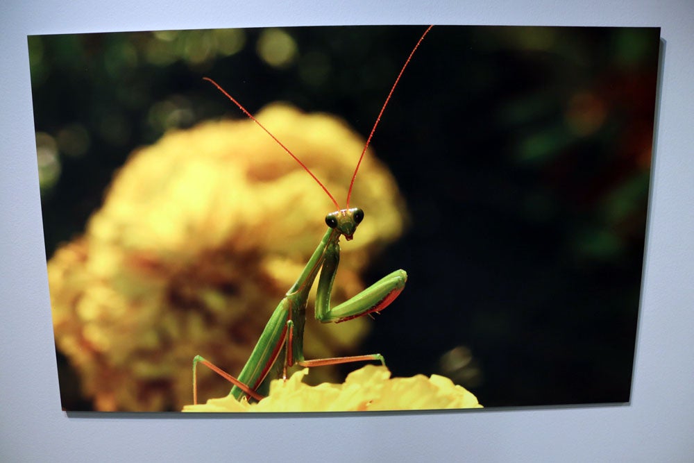 Del 9 al 13 de abril en la Sala de Exposiciones de la Fundación Cajacírculo