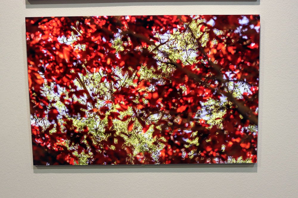 Del 9 al 13 de abril en la Sala de Exposiciones de la Fundación Cajacírculo