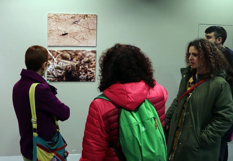 Del 9 al 13 de abril en la Sala de Exposiciones de la Fundación Cajacírculo