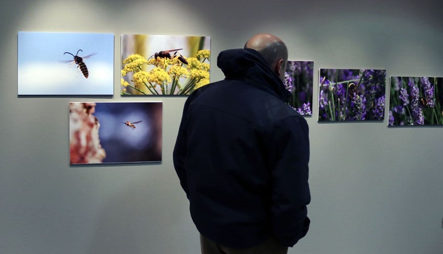 Del 9 al 13 de abril en la Sala de Exposiciones de la Fundación Cajacírculo