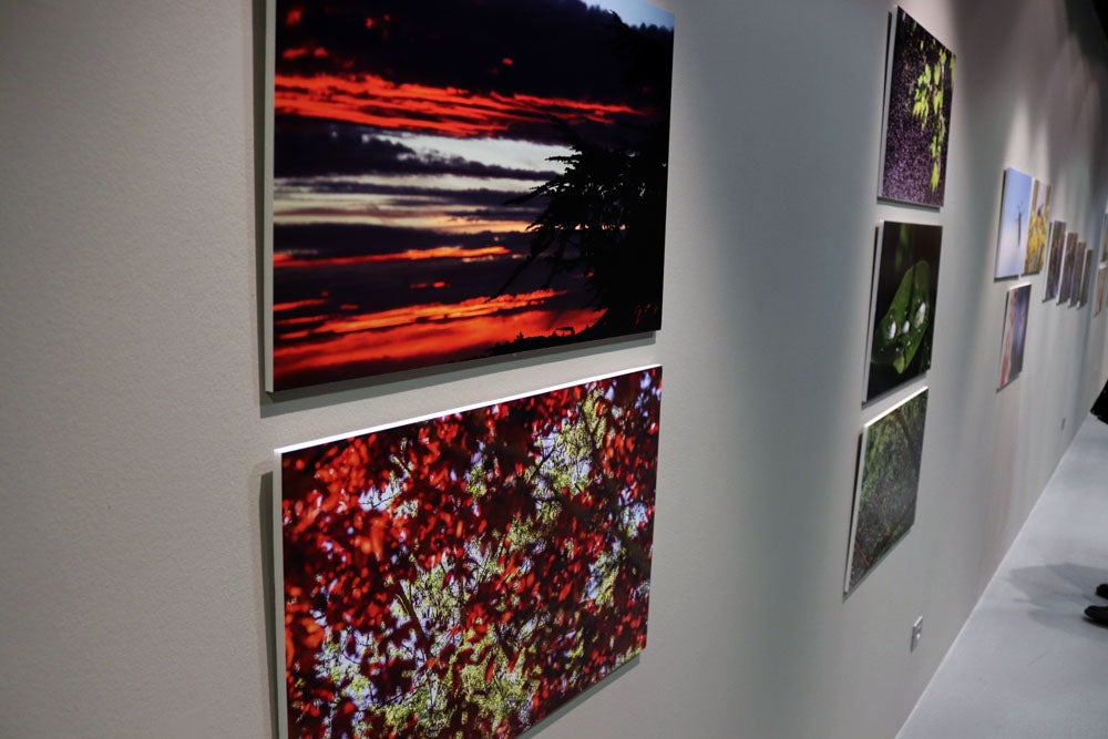 Del 9 al 13 de abril en la Sala de Exposiciones de la Fundación Cajacírculo