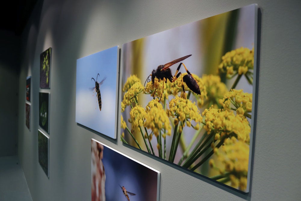 Del 9 al 13 de abril en la Sala de Exposiciones de la Fundación Cajacírculo