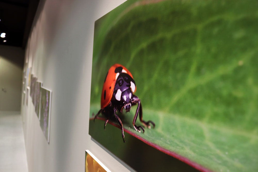 Del 9 al 13 de abril en la Sala de Exposiciones de la Fundación Cajacírculo