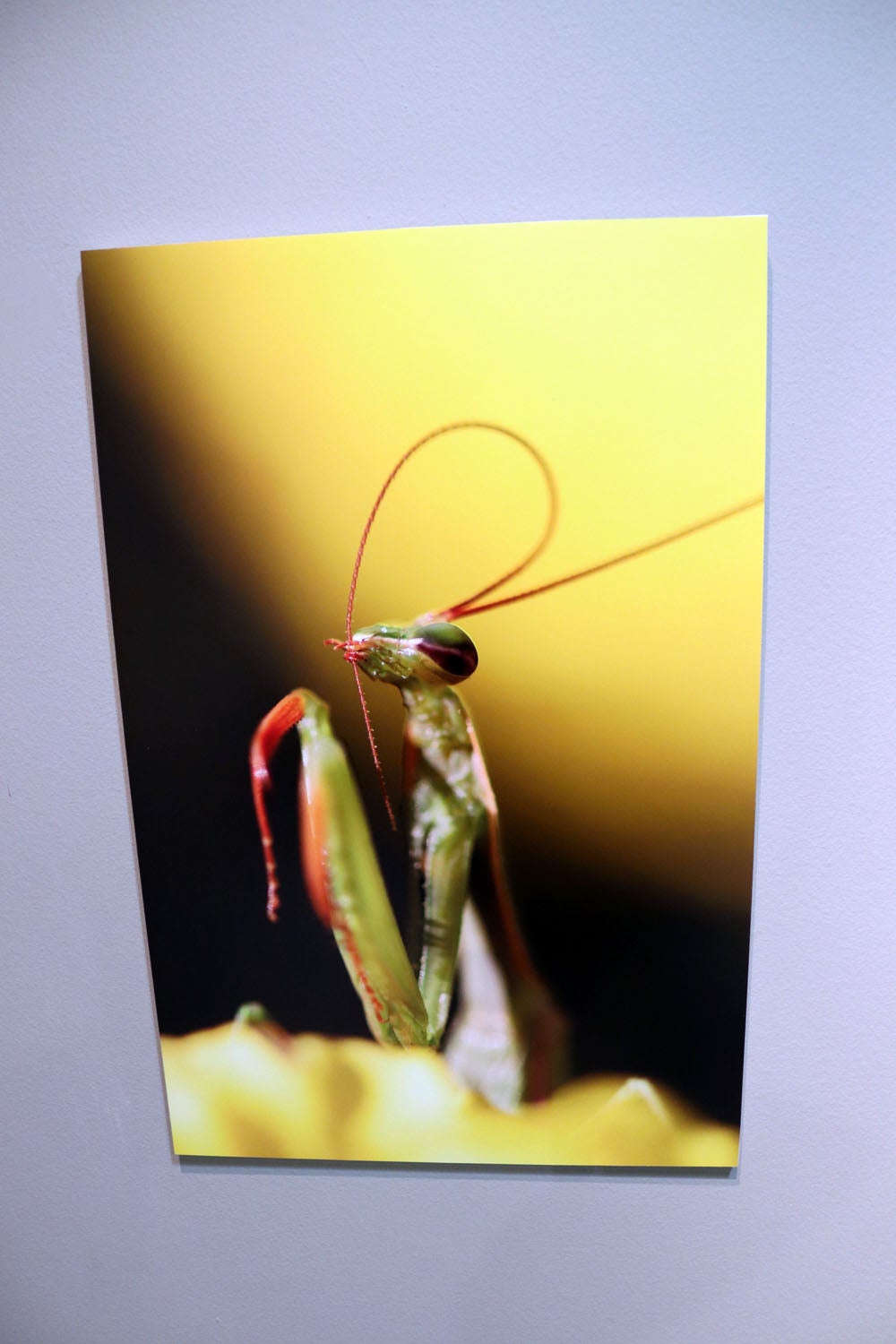 Del 9 al 13 de abril en la Sala de Exposiciones de la Fundación Cajacírculo