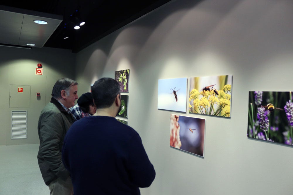 Del 9 al 13 de abril en la Sala de Exposiciones de la Fundación Cajacírculo