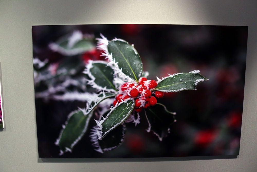 Del 9 al 13 de abril en la Sala de Exposiciones de la Fundación Cajacírculo