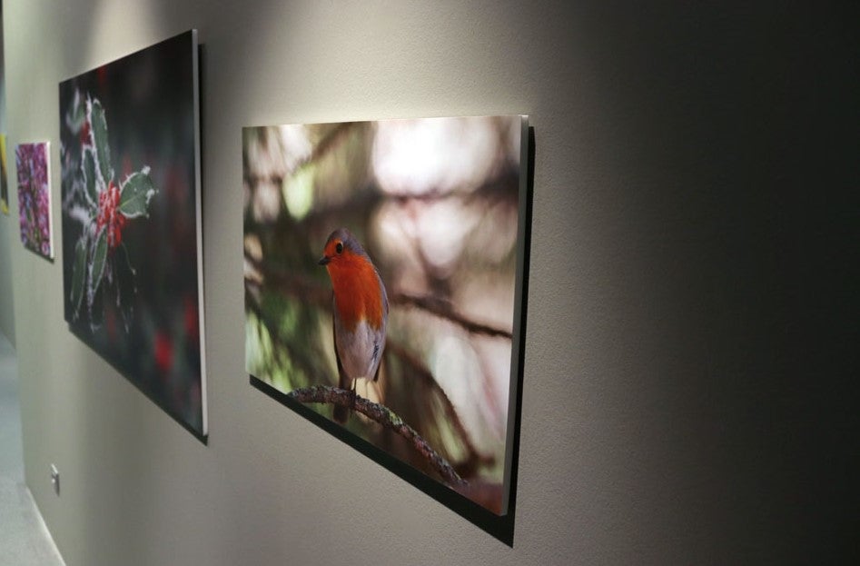 Del 9 al 13 de abril en la Sala de Exposiciones de la Fundación Cajacírculo