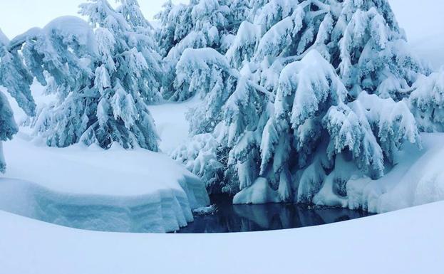 'La Nieve de Madrid' sigue viviendo su mejor momento