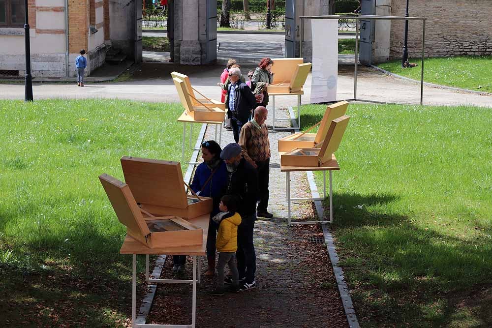 Fotos: Jornada de puertas abiertas en el Instituto de la Lengua