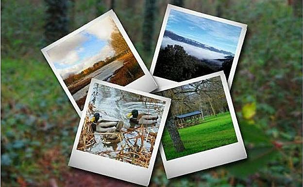 Cruz Roja busca unir población y naturaleza con un concurso fotográfico