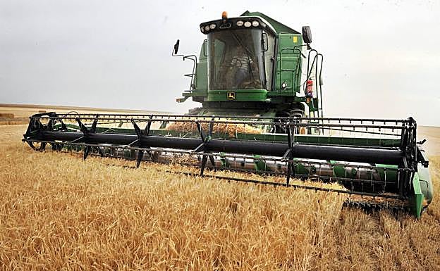Cosechadora en un campo de cereal