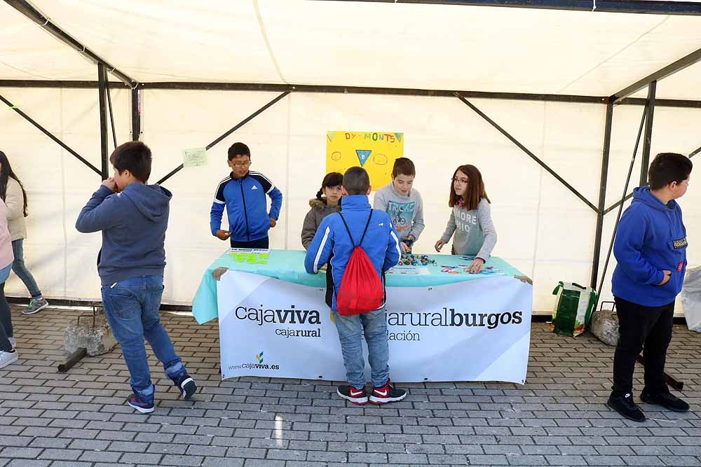 Fotos: En imágenes la 12º Feria Pequeños Emprendedores