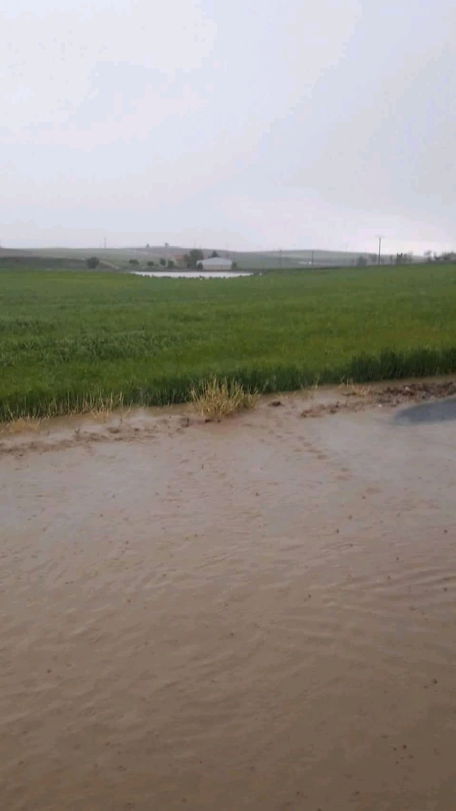 Fotos: Una tormenta inunda las calles de La Seca