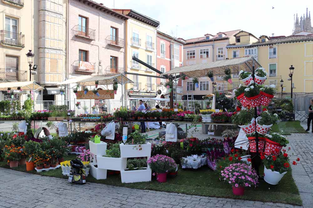 Fotos: Las mejores imágenes de la Fiesta de las Flores