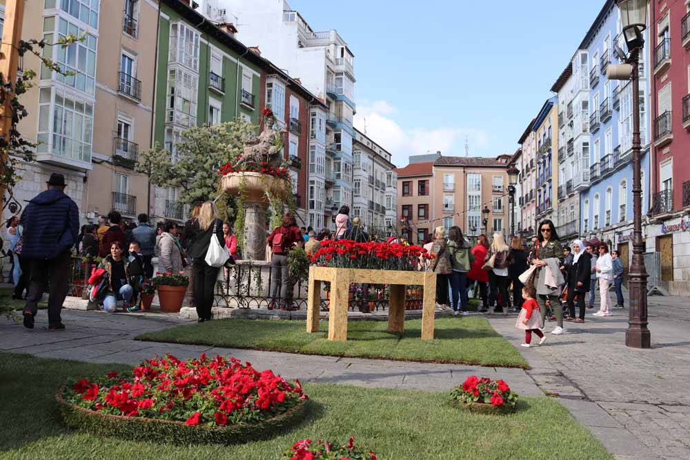 Fotos: Las mejores imágenes de la Fiesta de las Flores