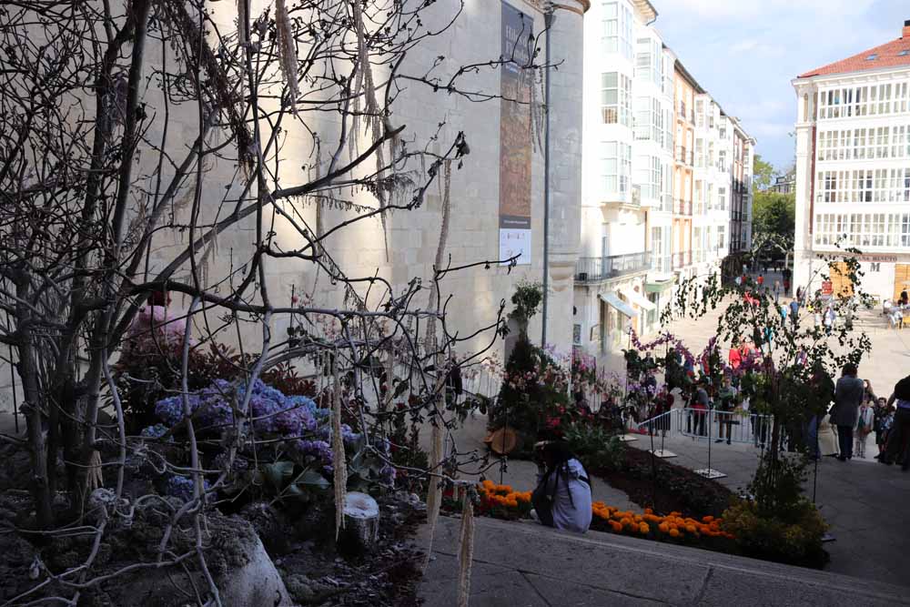 Fotos: Las mejores imágenes de la Fiesta de las Flores