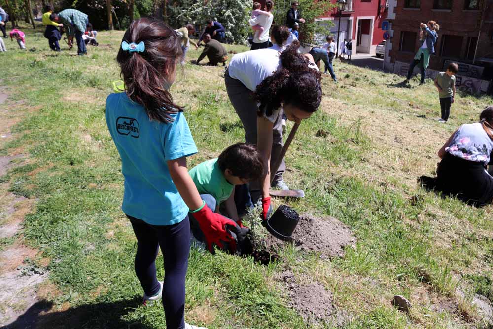 Fotos: Centenares de burgaleses han plantado árboles en la ladera del Castillo