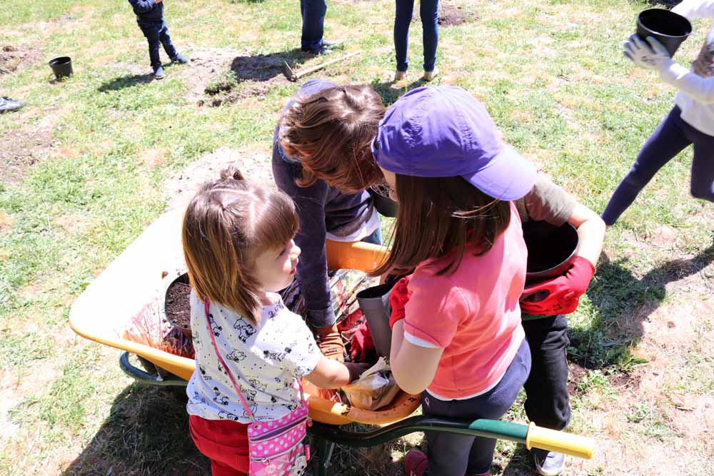 Fotos: Centenares de burgaleses han plantado árboles en la ladera del Castillo