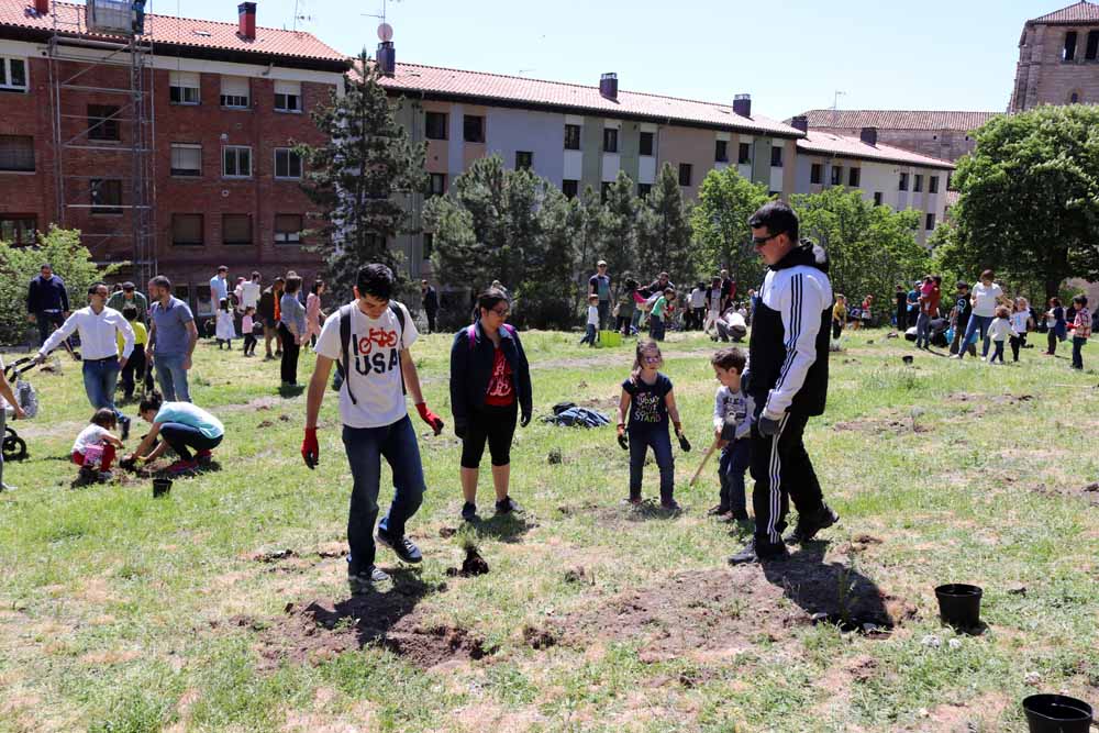 Fotos: Centenares de burgaleses han plantado árboles en la ladera del Castillo