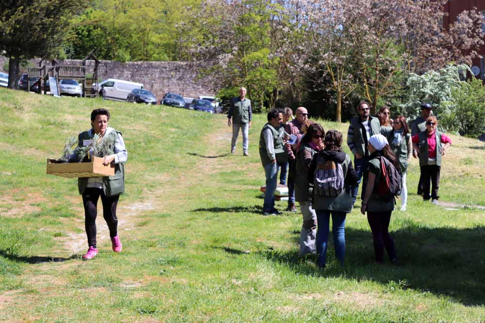 Fotos: Centenares de burgaleses han plantado árboles en la ladera del Castillo