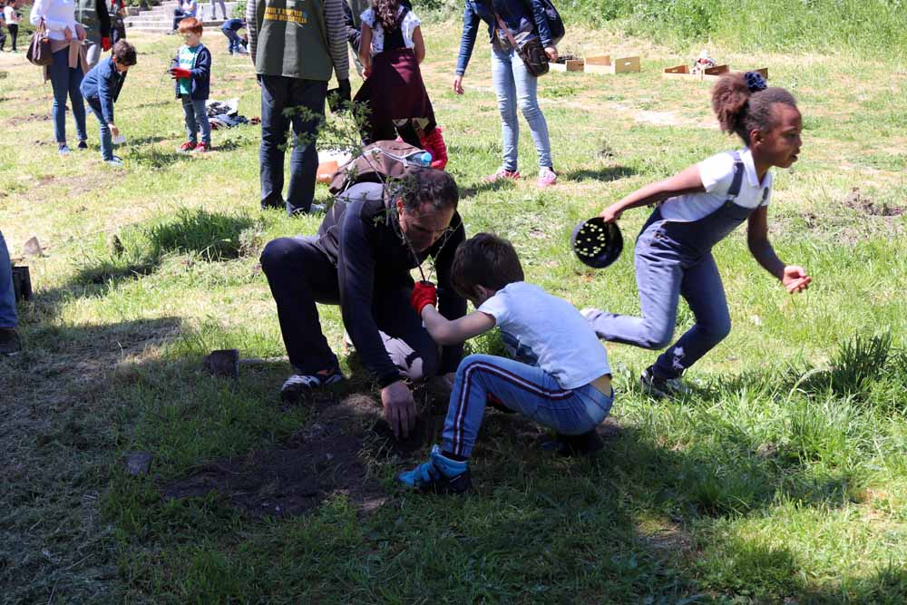 Fotos: Centenares de burgaleses han plantado árboles en la ladera del Castillo