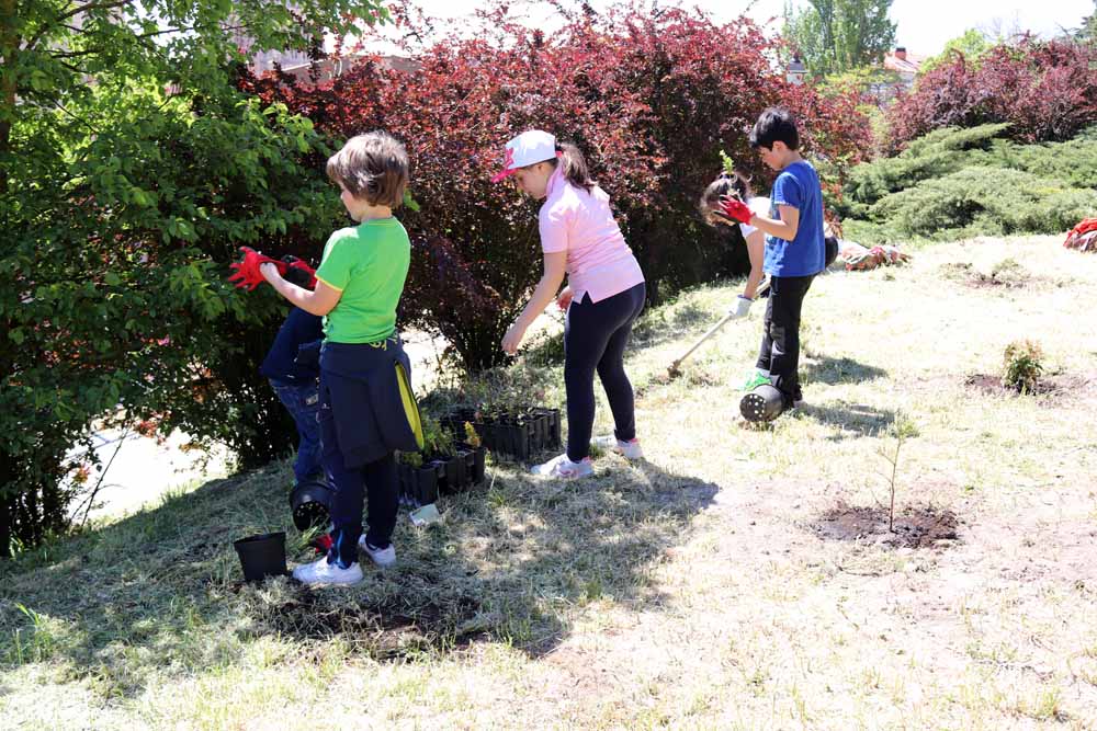 Fotos: Centenares de burgaleses han plantado árboles en la ladera del Castillo