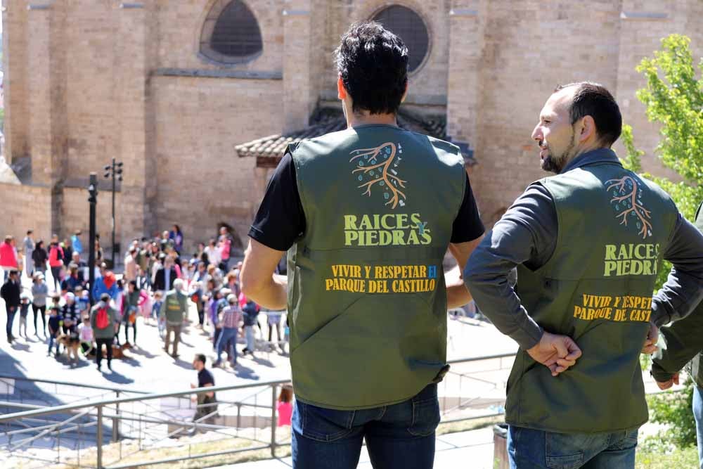 Fotos: Centenares de burgaleses han plantado árboles en la ladera del Castillo