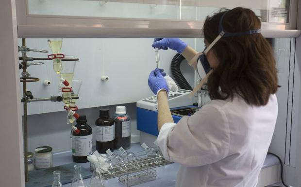 Una investigadora opera en el laboratorio del Itacyl, en la finca de Zamadueñas de Valladolid.