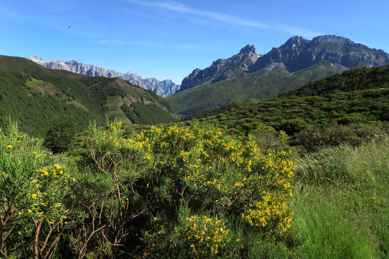 Picos de Europa desde el mirador de Pandetrave.