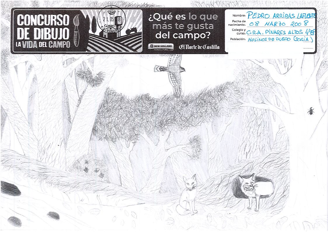 Segundo premio Dibujo 3º y 4º. Pedro Arribas.