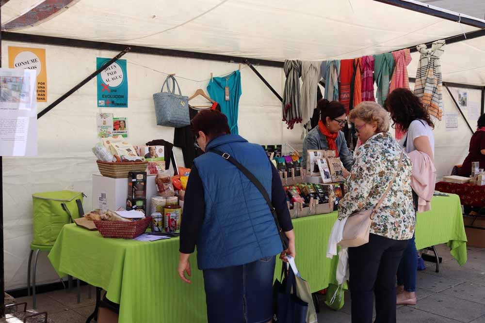 Fotos: Día de la Solidaridad