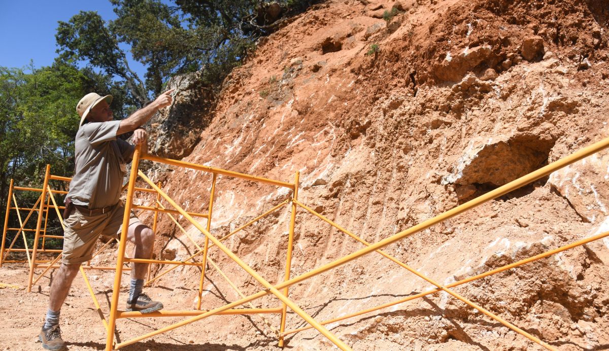 Fotos: La campaña de excavaciones en Atapuerca ya está a pleno rendimiento